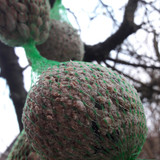 Food; Publicdomain; Cc0; Freeimage;