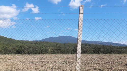 Landscape; Publicdomain; Cc0; Freeimage;.jpg