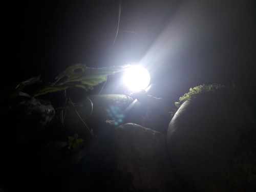 Lamp; Publicdomain; Cc0; Freeimage;.jpg