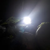 Lamp; Publicdomain; Cc0; Freeimage;