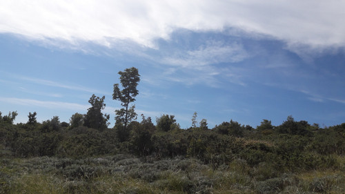 Landscape; Publicdomain; Cc0; Freeimage;.jpg