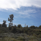 Landscape; Publicdomain; Cc0; Freeimage;