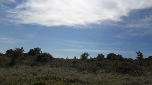 Landscape; Publicdomain; Cc0; Freeimage;.jpg