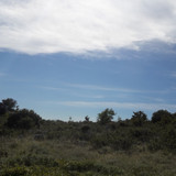 Landscape; Publicdomain; Cc0; Freeimage;