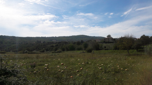 Landscape; Publicdomain; Cc0; Freeimage;.jpg