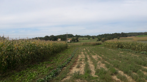 Landscape; Publicdomain; Cc0; Freeimage;.jpg