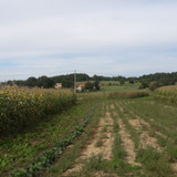 Landscape; Publicdomain; Cc0; Freeimage;