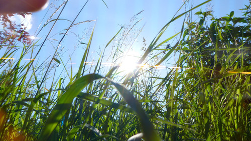 Light Flares Reflex Cinematic Publicdomain (57).jpg