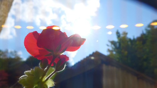 Flare; Publicdomain; Cc0; Freeimage;.jpg