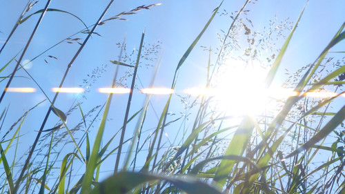 Flare; Publicdomain; Cc0; Freeimage;.jpg