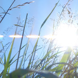 Flare; Publicdomain; Cc0; Freeimage;