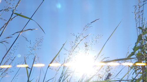 Flare; Publicdomain; Cc0; Freeimage;.jpg