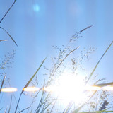 Flare; Publicdomain; Cc0; Freeimage;