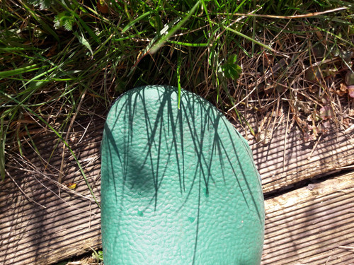 Feet; Publicdomain; Cc0; Freeimage;.jpg