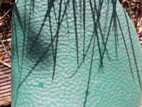 Feet; Publicdomain; Cc0; Freeimage;.jpg