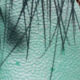 Feet; Publicdomain; Cc0; Freeimage;