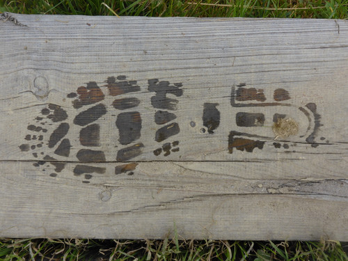 Feet; Publicdomain; Cc0; Freeimage;.jpg