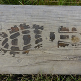 Feet; Publicdomain; Cc0; Freeimage;