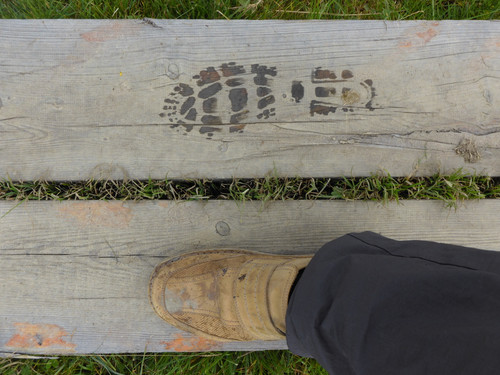 Feet; Publicdomain; Cc0; Freeimage;.jpg