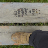 Feet; Publicdomain; Cc0; Freeimage;