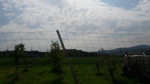 Landscape; Publicdomain; Cc0; Freeimage;.jpg