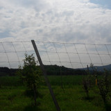 Landscape; Publicdomain; Cc0; Freeimage;