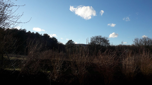 Landscape; Publicdomain; Cc0; Freeimage;.jpg