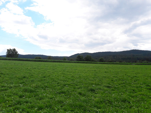 Landscape; Publicdomain; Cc0; Freeimage;.jpg