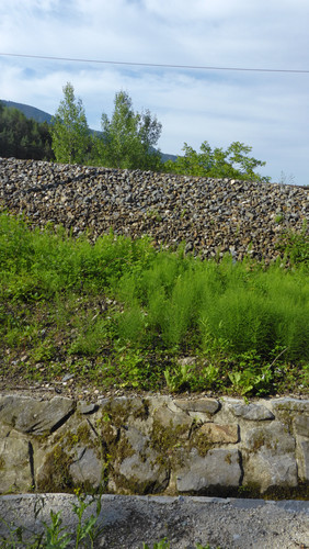 Landscape; Publicdomain; Cc0; Freeimage;.jpg