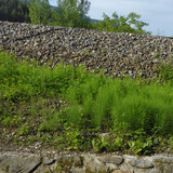 Landscape; Publicdomain; Cc0; Freeimage;