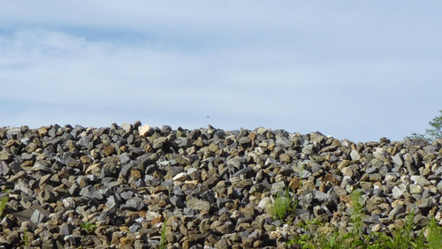 Landscape; Publicdomain; Cc0; Freeimage;.jpg