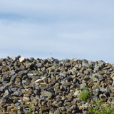 Landscape; Publicdomain; Cc0; Freeimage;