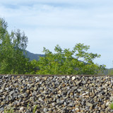 Landscape; Publicdomain; Cc0; Freeimage;