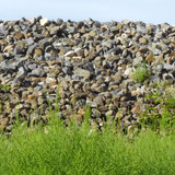 Land Landscape Panorama Publicdomain (84)