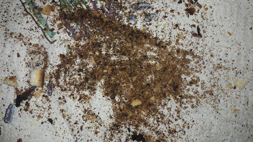 Food; Publicdomain; Cc0; Freeimage;.jpg