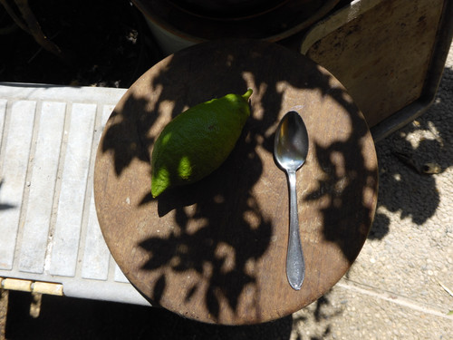 Food; Publicdomain; Cc0; Freeimage;.jpg