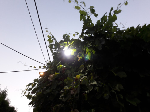 Light; Publicdomain; Cc0; Freeimage;.jpg