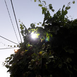 Light; Publicdomain; Cc0; Freeimage;