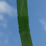 Food; Publicdomain; Cc0; Freeimage;