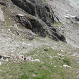 Mountain; Publicdomain; Cc0; Freeimage;