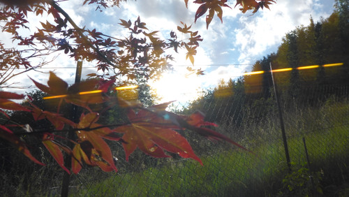 Flare; Publicdomain; Cc0; Freeimage;.jpg