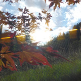 Flare; Publicdomain; Cc0; Freeimage;