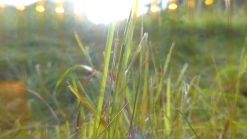 Flare; Publicdomain; Cc0; Freeimage;.jpg