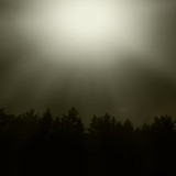 Light; Publicdomain; Cc0; Freeimage;