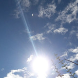 Flare; Publicdomain; Cc0; Freeimage;