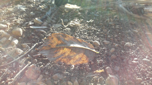 Flare; Publicdomain; Cc0; Freeimage;.jpg