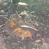 Flare; Publicdomain; Cc0; Freeimage;