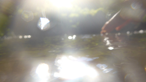 Flare; Publicdomain; Cc0; Freeimage;.jpg