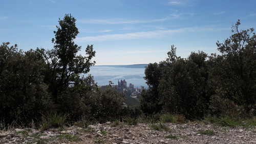 Industry Between Bushes.jpg