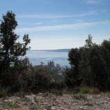 Industry Between Bushes